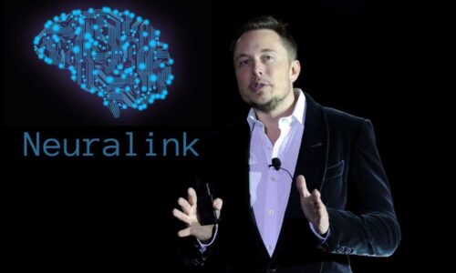Neuralink busca segundo participante para implante de chip cerebral