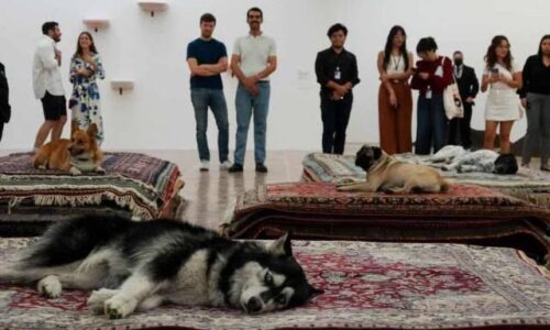 Investigan al Museo Tamayo por performance con perritos ¿maltrato animal?