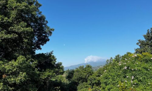 Fuerzas de tarea atienden incendio forestal en Xico