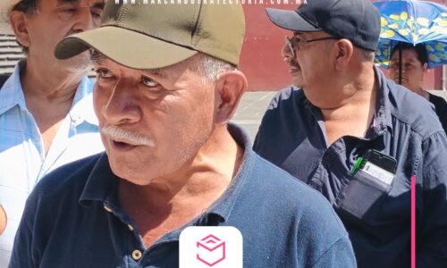 Café veracruzano, severamente afectado por sequía