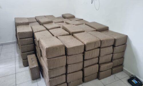 FGR asegura 700 kilos de marihuana en Tuxpan, Veracruz