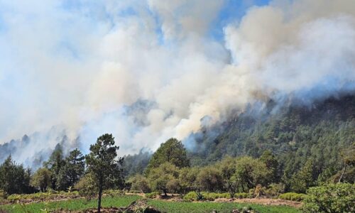 Brigadas de los 3 órdenes de gobierno y voluntarios atienden incendio forestal en Xico