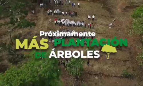 Falta muy poco para que inicie la campaña de reforestación, ¿jalas?