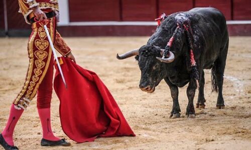 Colombia prohíbe las corridas de toros a nivel nacional: ¿Qué pasa en México?