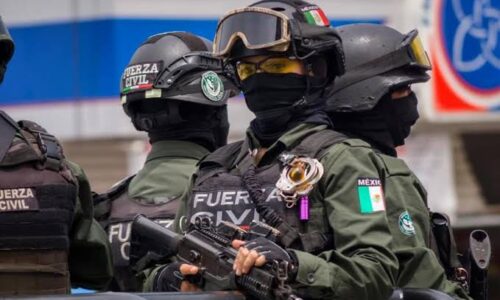 Gobierno desaparece a la Fuerza Civil y verificará nuevamente a Granjas Carrol