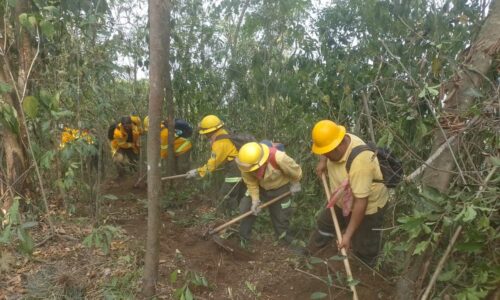 Se intensifica el combate a incendios; apoyo total los brigadistas por su entrega