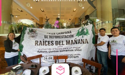 Invitan a sembrar 10 mil árboles durante gran campaña de reforestación en Las Vigas: