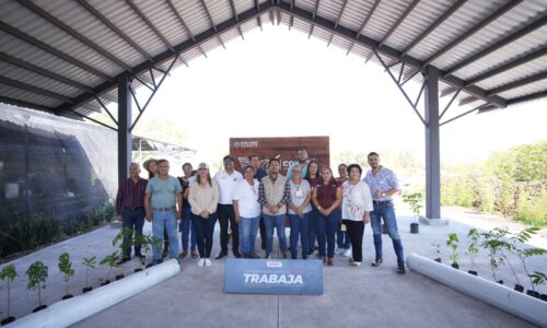 Apoya Ayuntamiento de Emiliano Zapata producción de nochebuena en La Estanzuela