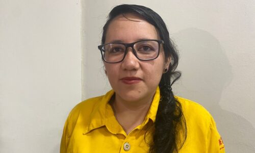 Estiaje y falta de lluvias provocaron que incendios se propagaran rápidamente: Alicia Hernández