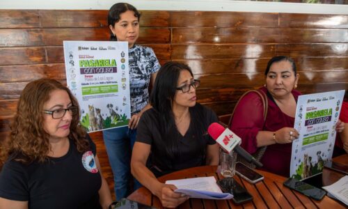 Invita Ayuntamiento a segunda pasarela de animales de compañía