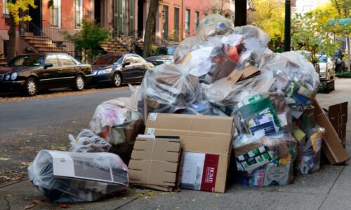 Nueva York implementa obligación de uso de botes de basura oficiales
