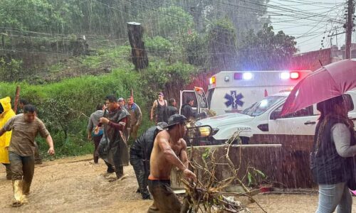 Activan Plan Tajin en colonia Reserva Territorial en Xalapa