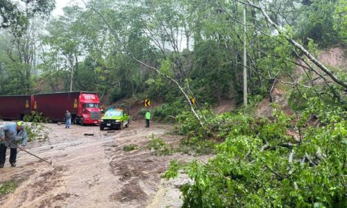 Carrera Coatepec-LasTrancas, cerrada por deslaves
