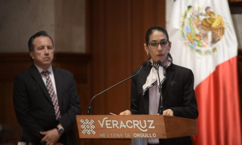 En el sur, 140 detenciones por delitos de alto impacto
