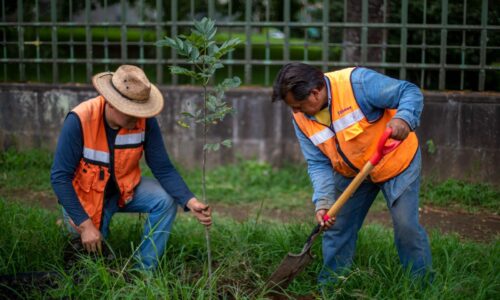 Se realiza jornada de reforestación y mantenimiento de áreas verdes