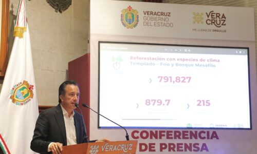145 verificentros de Veracruz clausurados; operaban fuera de la norma