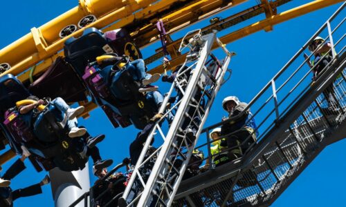 Six Flags planea nueva atracción a costa de árboles en Tlalpan