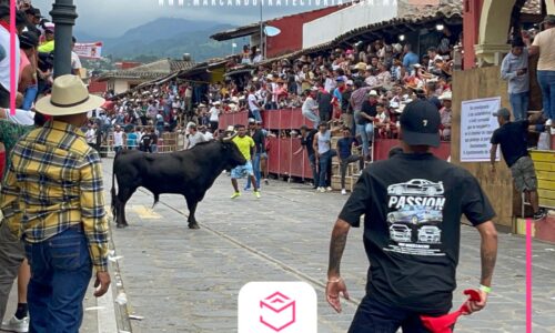 Sin incidentes, se realiza Xiqueñada 2024