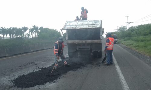 Dan manita de gato a carreteras de Veracruz