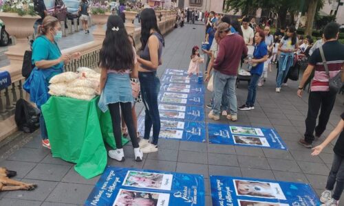 Ada Azul invita a los xalapeños a donar alimento para perros y gatos del albergue