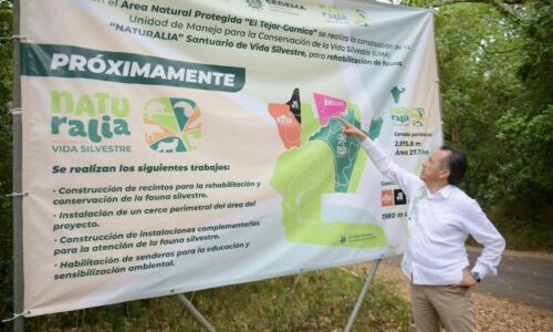 Ya casi llega el Parque de Biodiversidad Naturalia en Xalapa