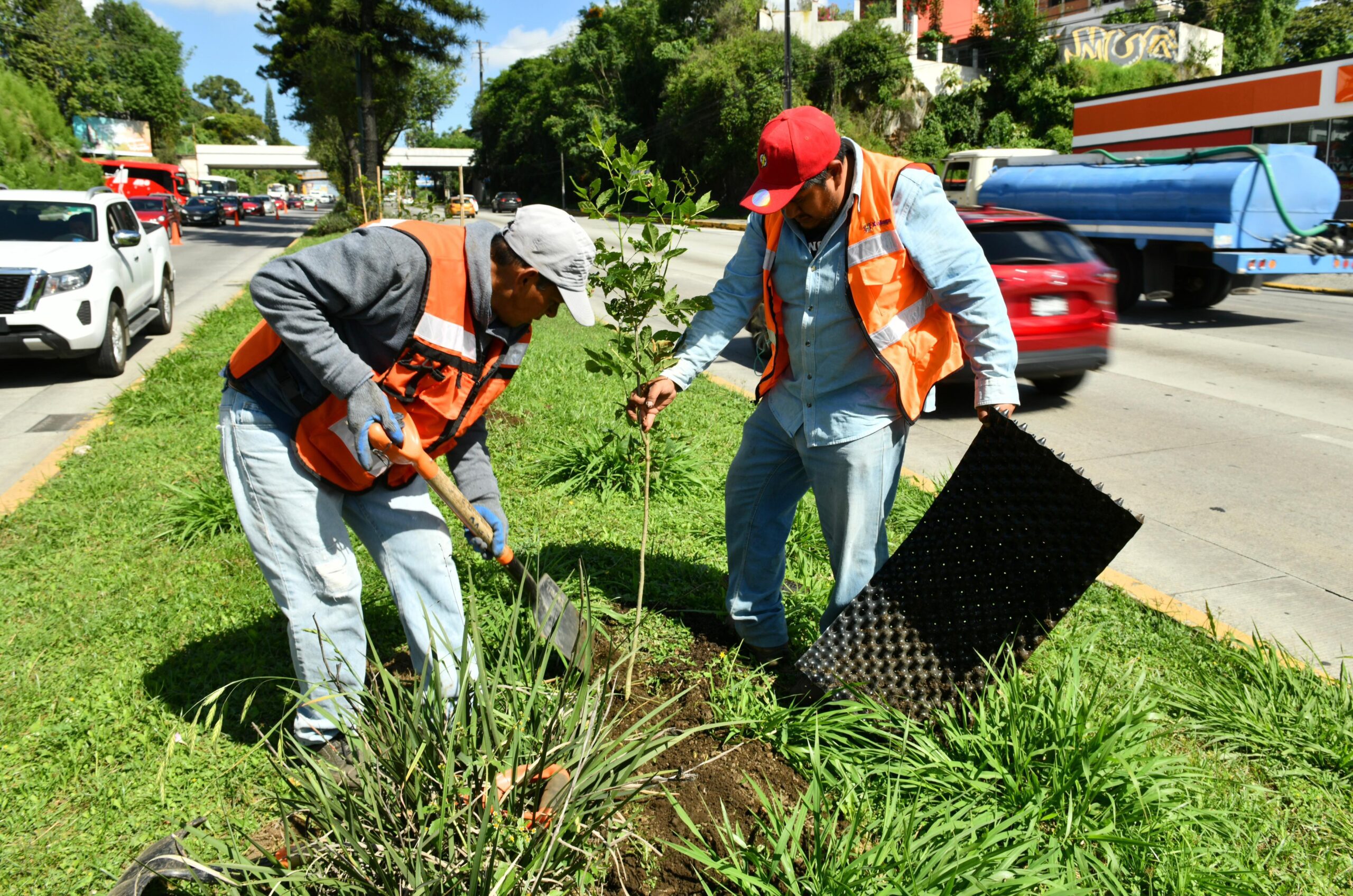 Continúa Ayuntamiento con acciones permanentes por el Medio Ambiente