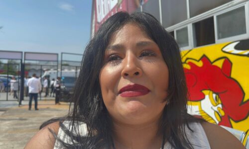 No hay desaparición masiva de mujeres en Veracruz; hay 14 casos