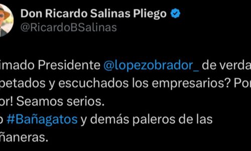 AMLO pide opinión a empresarios sobre sobrerrepresentación en el Congreso; Salinas Pliego responde con encuesta