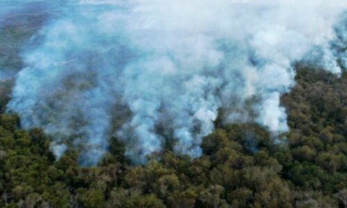 Incendios forestales en San Pablo: Dos detenidos y miles de hectáreas arrasadas