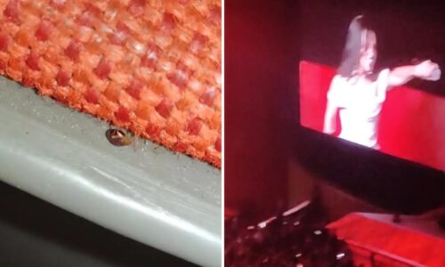 Auditorio Nacional responde a denuncia viral de chinches en sus instalaciones