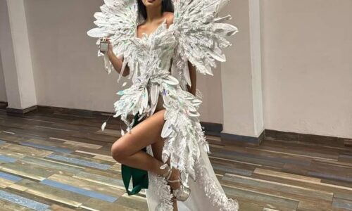 Veracruz gana 2do lugar en Traje Reciclado en Miss Earth México 2024