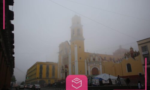 Desempolva la poderosa cobija de tigre: Se viene el frío