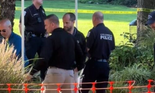Una alfombra enterrada desata teorías de crimen sin resolver en TikTok