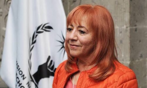 Rosario Piedra busca un segundo mandato en la CNDH: “Nuestra prioridad es atender a las víctimas”