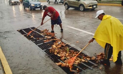 Escuelas de Veracruz interrumpen clases debido Tormenta Tropical «Nadine».