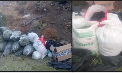 Se realizaron detenciones, aseguramientos de armas de fuego y de distintos tipos de droga en Baja California, Chiapas, Nuevo León, Sonora y Sinaloa