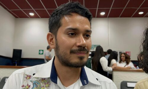 Analiza Partido Verde coalición parcial en elecciones municipales