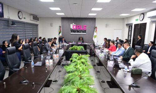 Consejo General del OPLE Veracruz aprueba convocatoria para la integración de los 212 consejos municipales