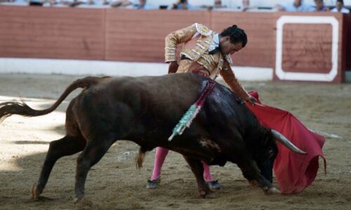 Diputados impulsan “espectáculos sin sangre” para regular la tauromaquia en México