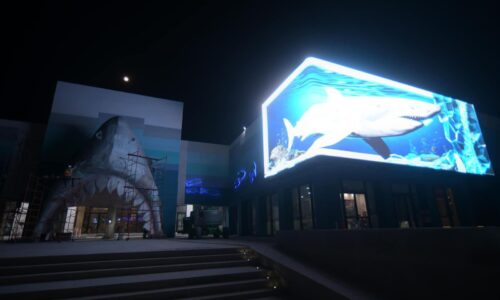 Instalan colosal pantalla interactiva en fachada del Aquarium de Veracruz