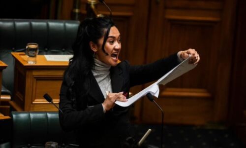 Iniciativa de ley sobre el Tratado de Waitangi en Nueva Zelanda desata tensiones en el Parlamento