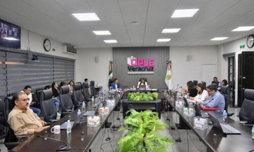 Consejo General del OPLE Veracruz emite Manual para identificar casos de violencia digital y mediática contra las mujeres en la esfera político-electoral