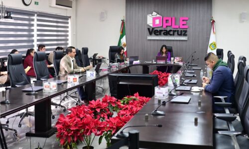 Comisión Permanente de Igualdad de Género y No Discriminación del OPLE Veracruz recomienda ampliar periodo de lactancia y permiso de paternidad