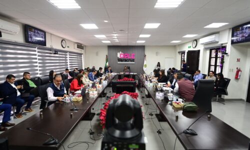 Consejo General del OPLE Veracruz aprueba lista de nombres, folios y puntajes de aspirantes a integrar los 212 consejos municipales