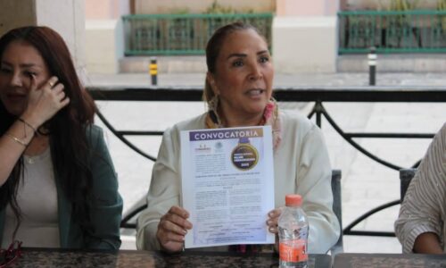 Invertirán 500 mdp en puente de Boca del Río: Bertha Ahued
