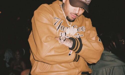 Chris Brown demanda a Warner Bros. Discovery por 500 millones