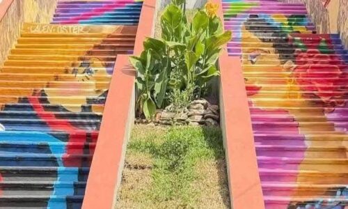 Ilustradora denuncia uso no autorizado de su obra en mural