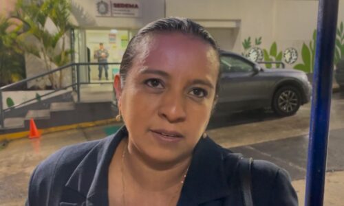 Más de 12 mil pinos busca acopiar Sedema en Veracruz