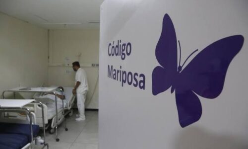 Distintivo “Código Mariposa”: Hospitales reconocidos por atención respetuosa al duelo gestacional