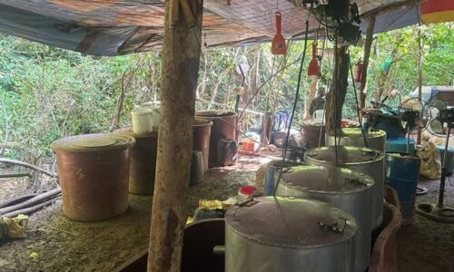 Aseguran laboratorio de metanfetaminas en Nayarit: incautan más de 7 toneladas